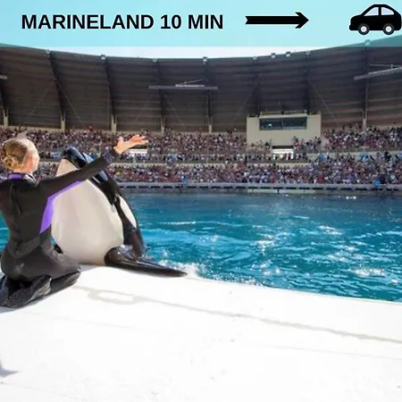 2p Neuf, Piscine, 5 Min Mer, Tennis, Wifi Parking - A Louer * Antibes